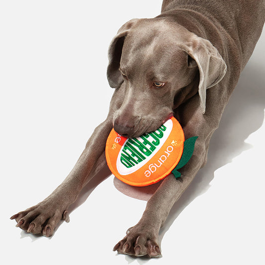 Orange Frisbee Plush Dog Toy