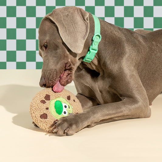 Crinkle Cookie Plush Dog Toy