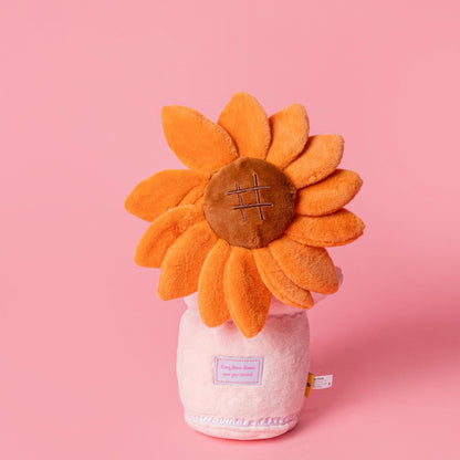 Flower Plush Dog Toys Set