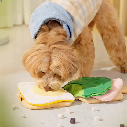 Sandwich Snuffle Dog Toy