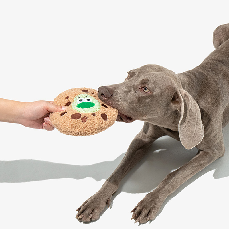 Crinkle Cookie Plush Dog Toy