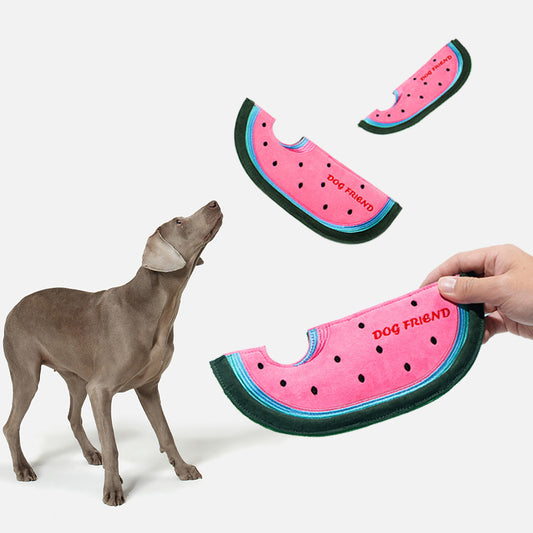 Watermelon Flying Disc Dog Toy