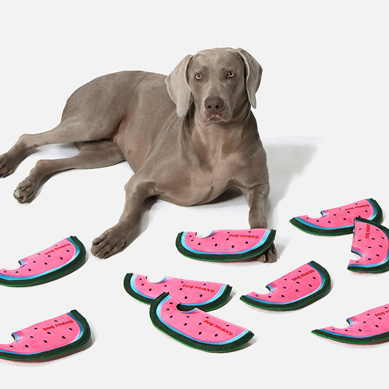 Watermelon Flying Disc Dog Toy