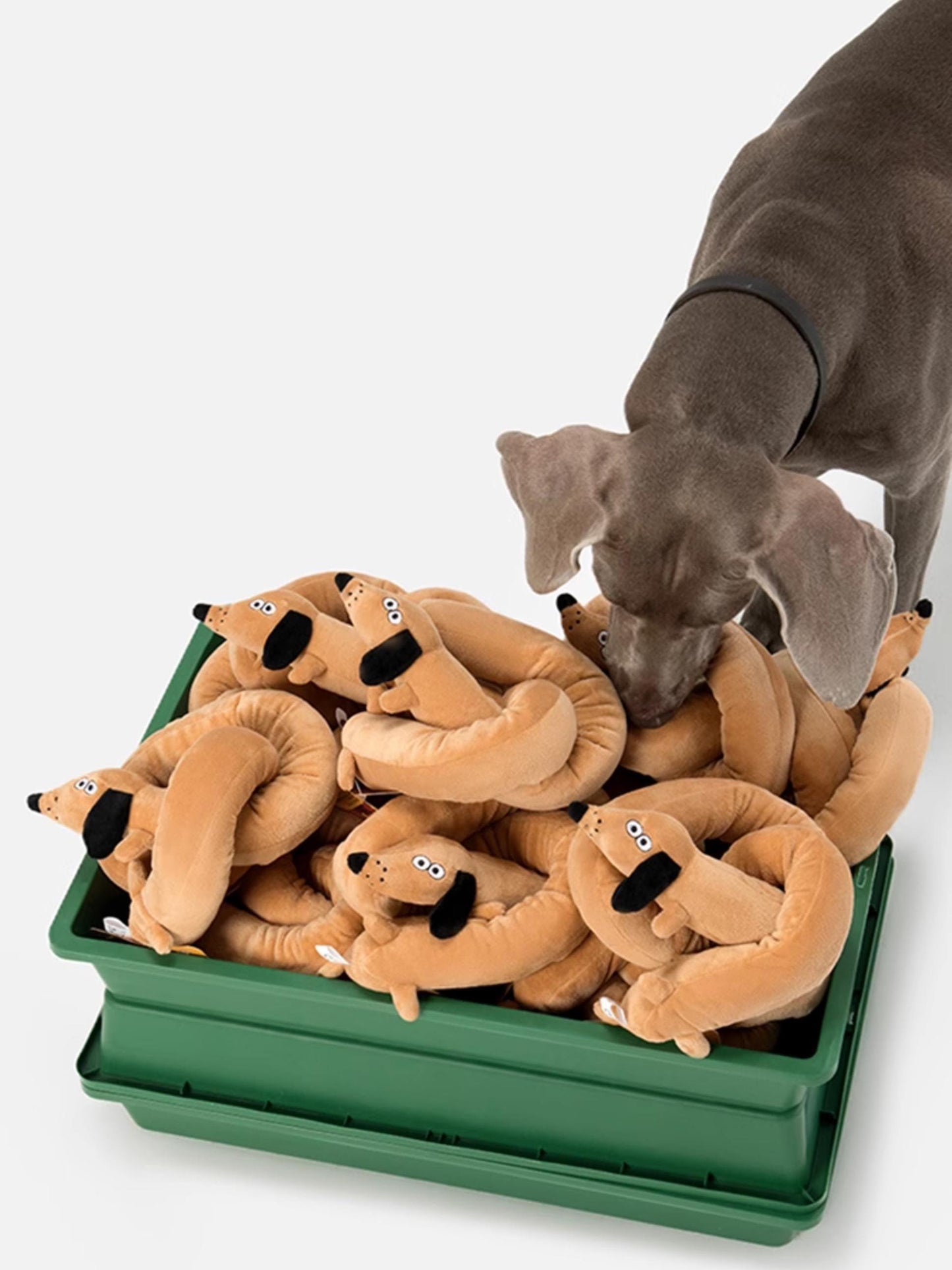 Dachshund Dog Plush Toy