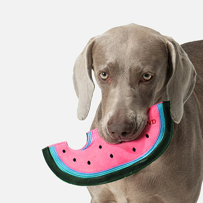 Watermelon Flying Disc Dog Toy