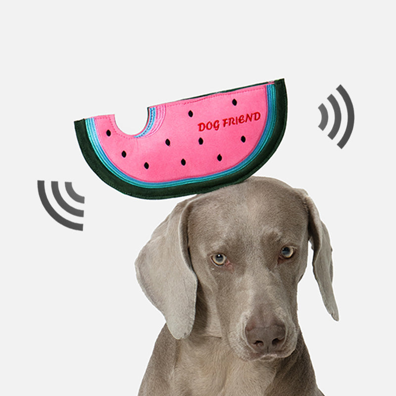 Watermelon Flying Disc Dog Toy
