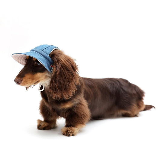 Denim Dog Visor Hat
