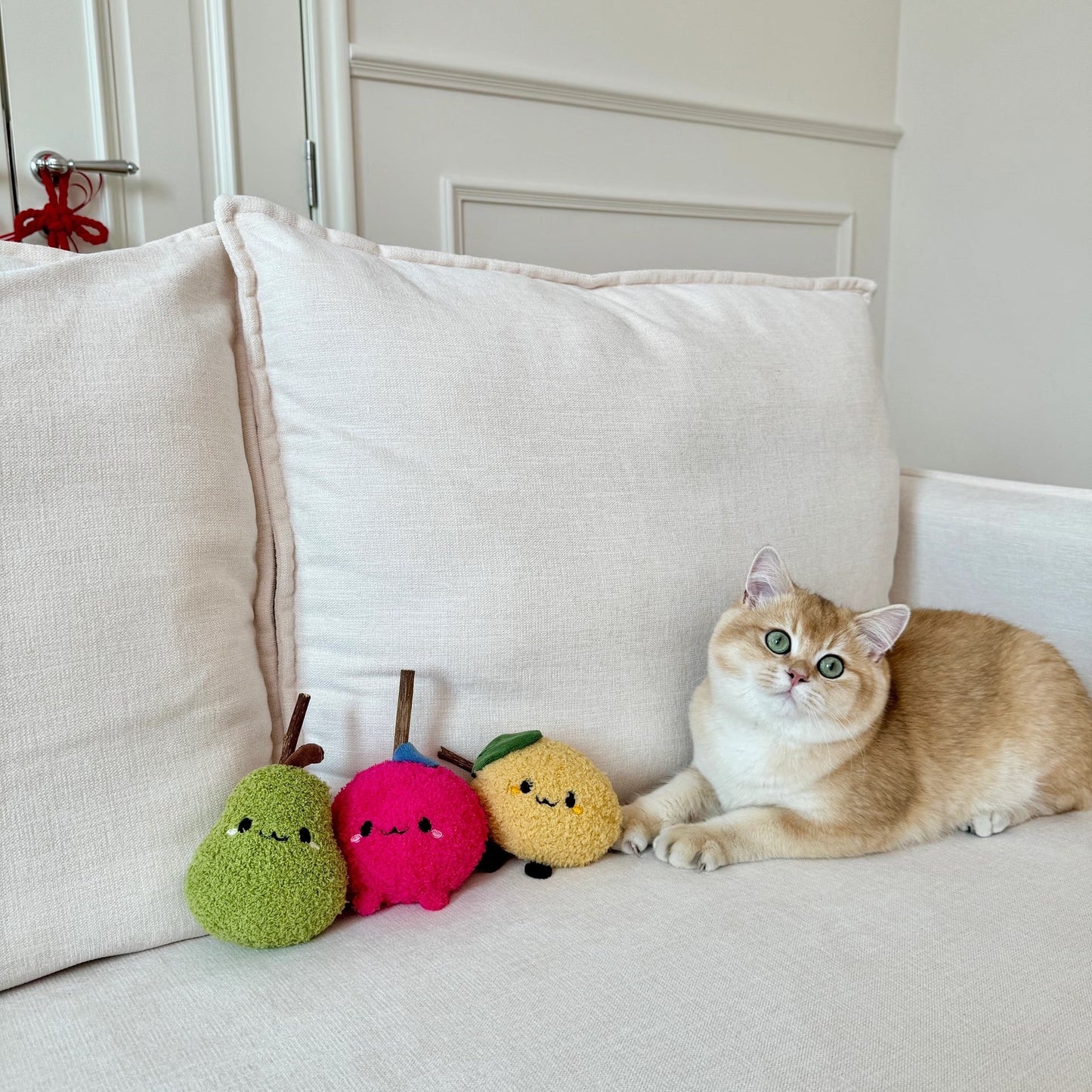Fruit and Veggie Catnip Toys with Silvervine