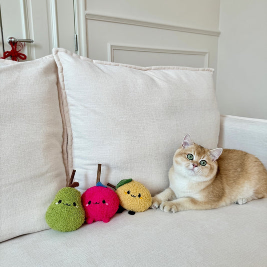 Fruit and Veggie Catnip Toys with Silvervine
