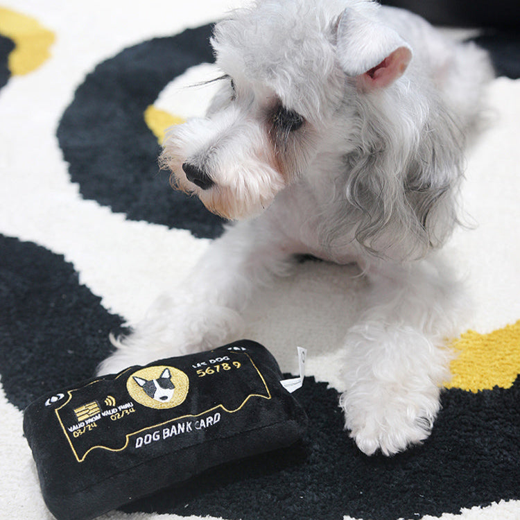 Interactive Credit Card Squeaky Dog Toy