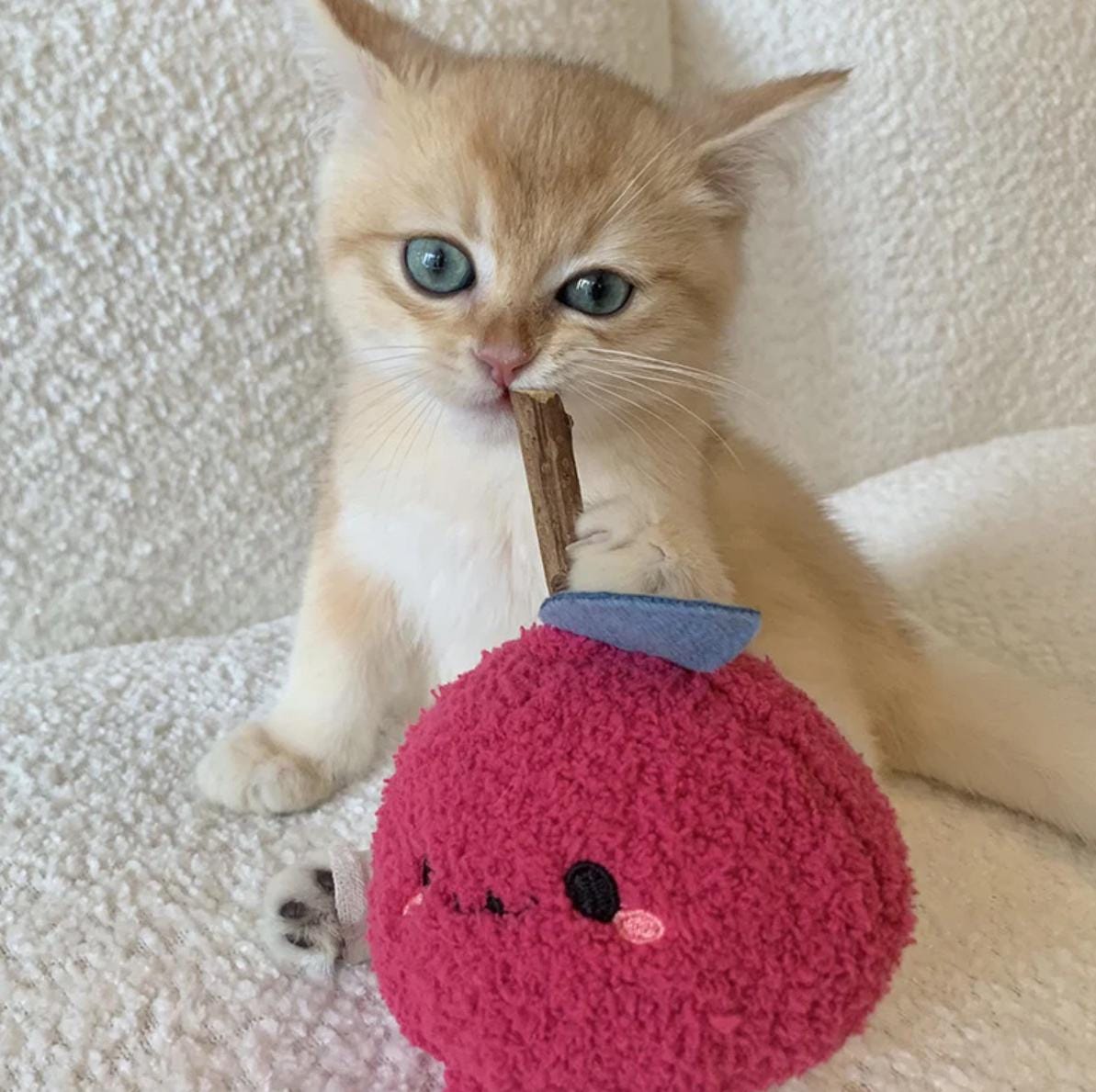 Fruit and Veggie Catnip Toys with Silvervine